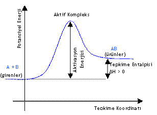 Lisekimya Net Ileri Tepkimenin Aktiflesme Enerjisi Geri Tepkimenin Aktiflesme Enerjisi Endotermik Tepkime Potansiyel Enerji Grafigi Konu Anlatimi